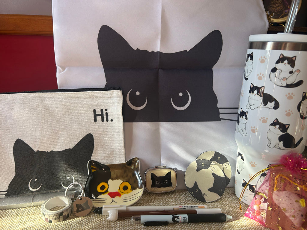 Cat Lovers Reset Mystery Box
